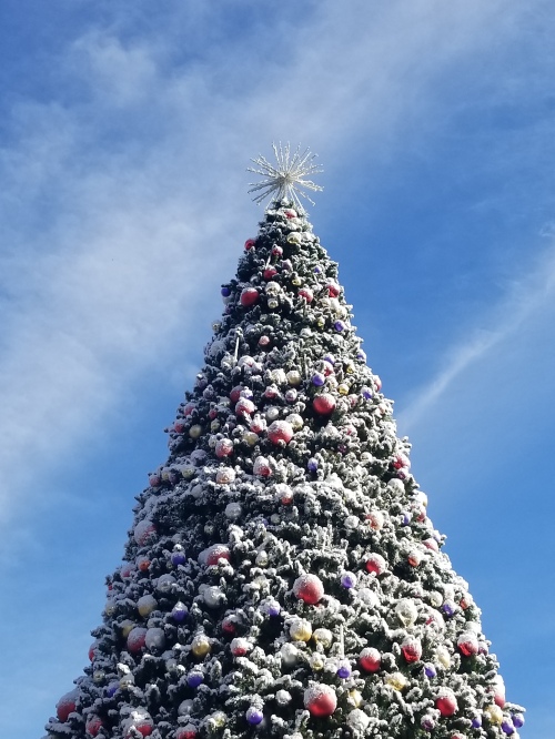 Universal Citywalk Christmas Tree